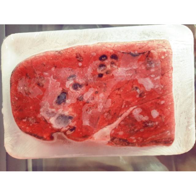 

Paru Impor Halal 500 gram