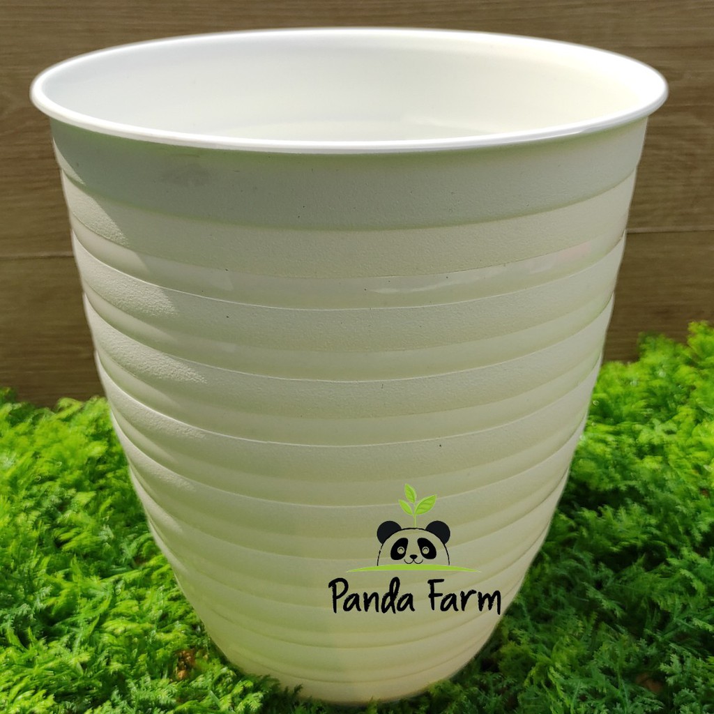 Pot Tawon Tirus putih no 211