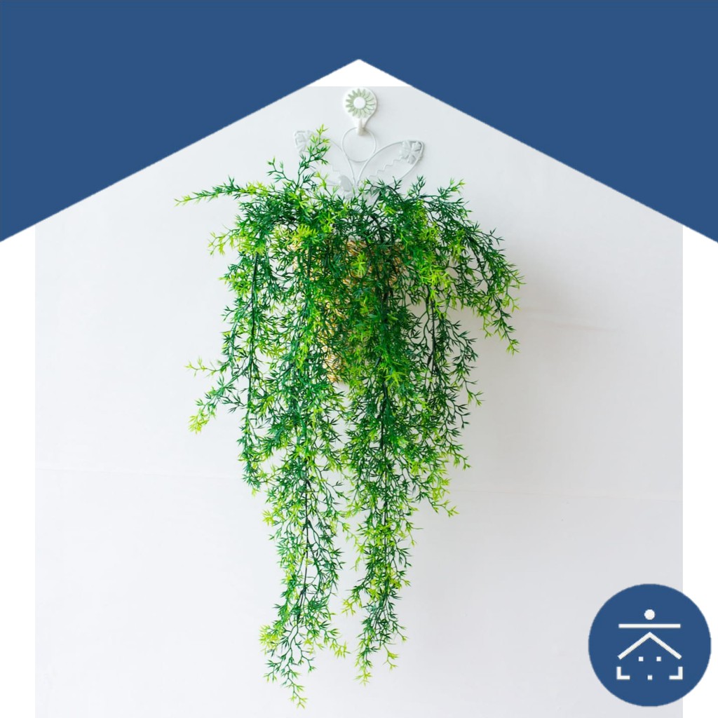 Kunataruma Daun Rambat Plastik Tanaman Hias Indoor Pot Kunataruma Daun Rambat Plastik Tanaman Hias Indoor Pot