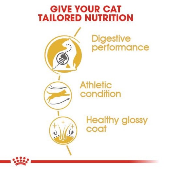 Royal Canin Bengal 2 kg Makanan Kucing Dewasa Adult Dry Cat Food 2kg