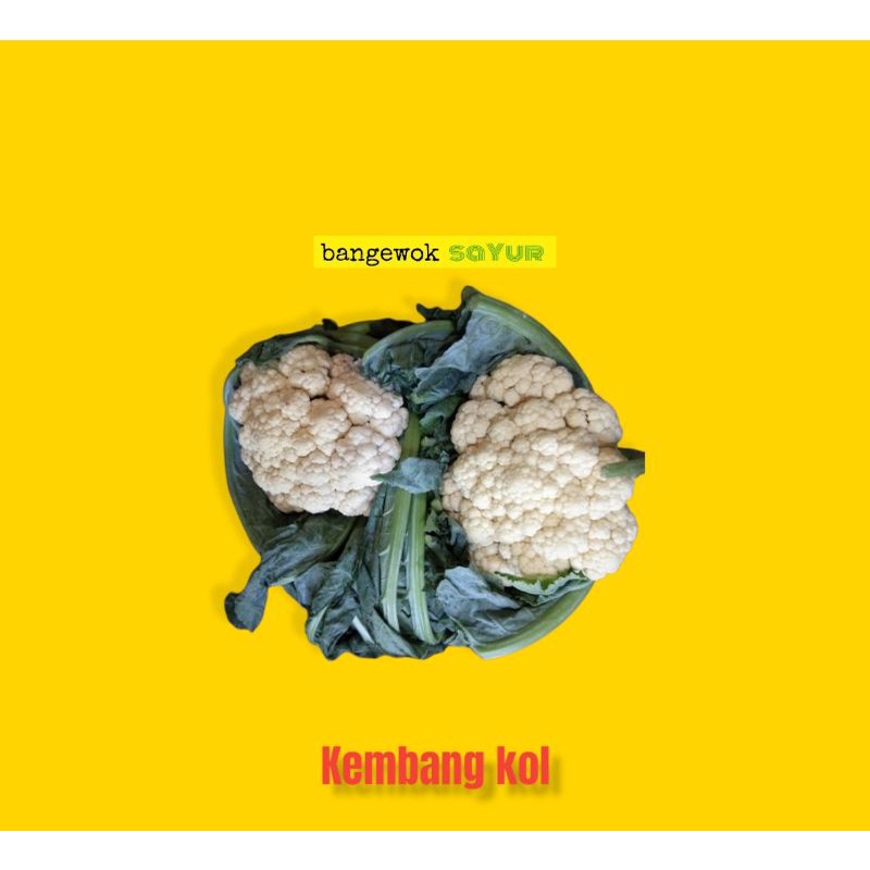 

KEMBANG KOL 500GR