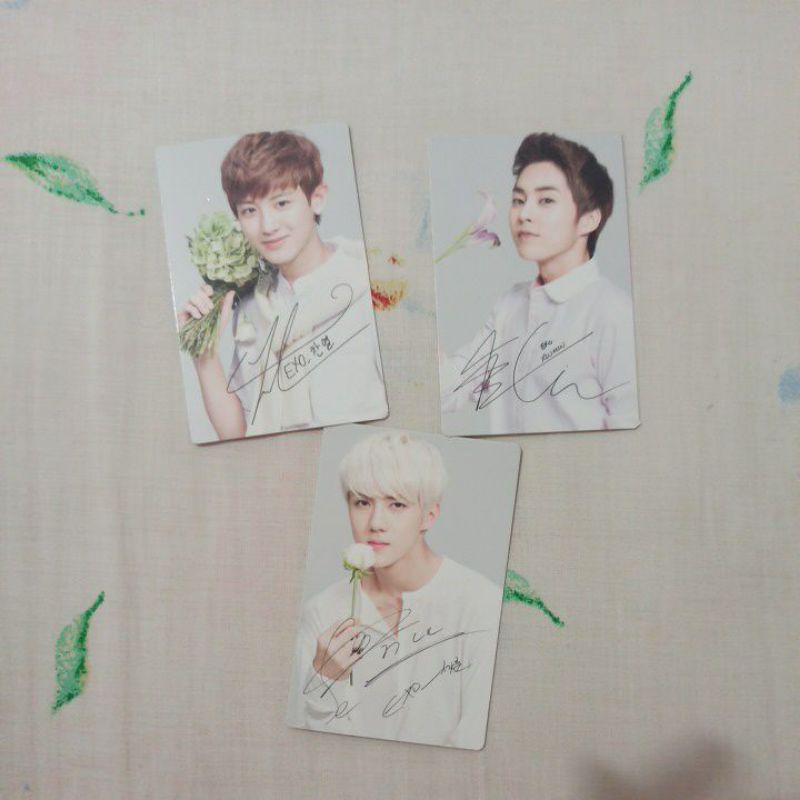 Photocard Exo (Chanyeol, Sehun, Xiumin) Official Nature Republic