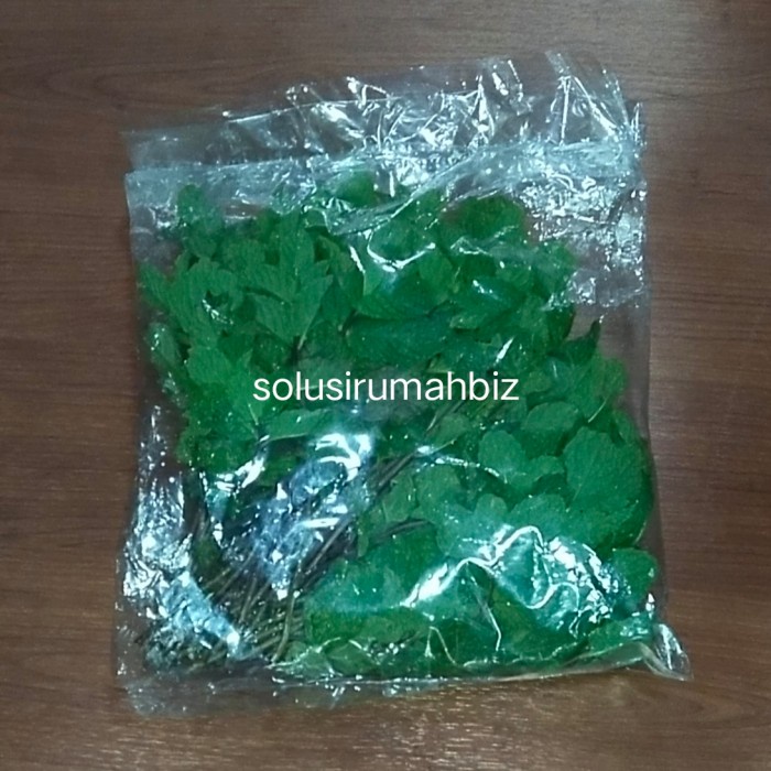 daun mentol peppermint mint pepper asli leaf 100g 100 g kesehatan tea