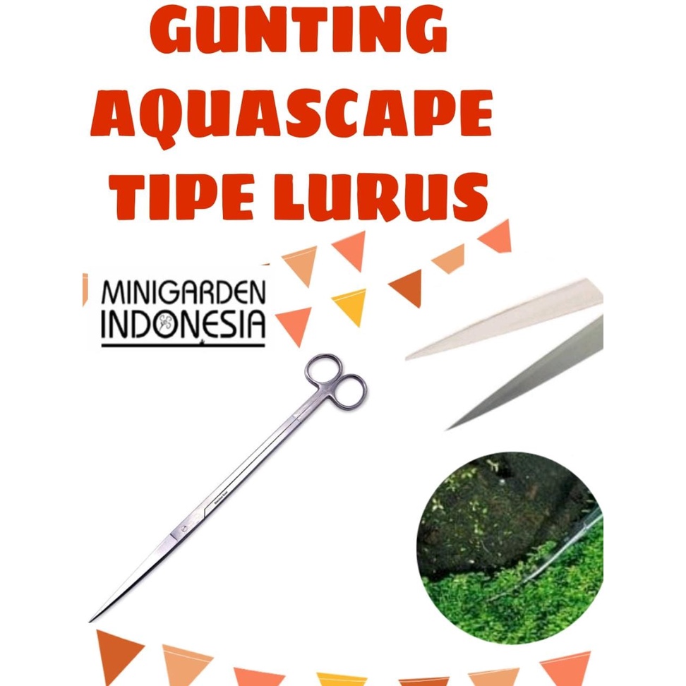 GUNTING TRIMMING AQUASCAPE STAINLESS UJUNG LURUS 25CM STRAIGHT SCISSOR