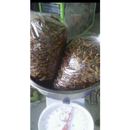 

walang goreng utis