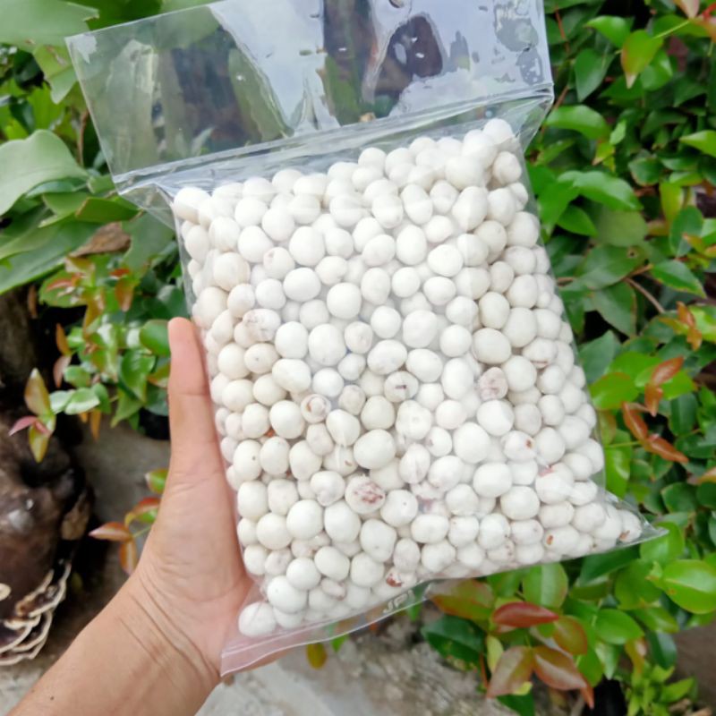 Jual Kacang Atom Renyah Gurih Shopee Indonesia