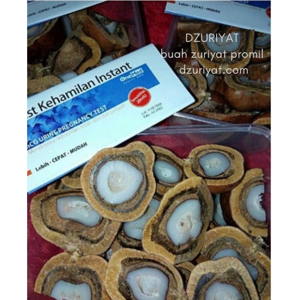 

1 Kg Buah Zuriat / Zuriyat / Doum Mesir Original Promil Bonus Testpack