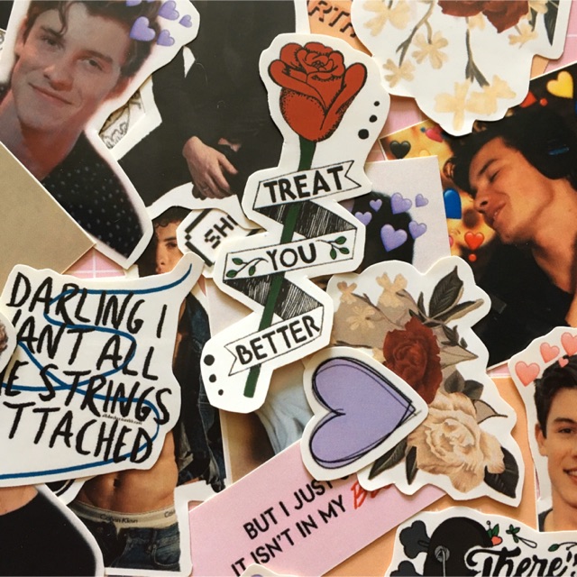 

SHAWN MENDES STICKER