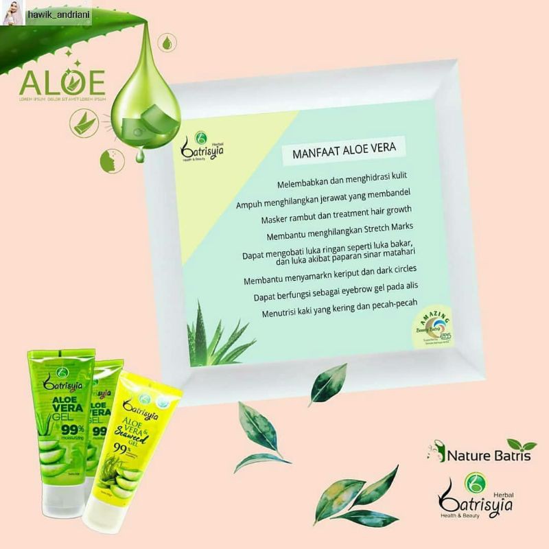 ALOEVERA GEL/SEAWEED BATRISYIA 50 ML ORIGINAL ASLI 100% PELEMBAB WAJAH OBAT JERAWAT AMPUH