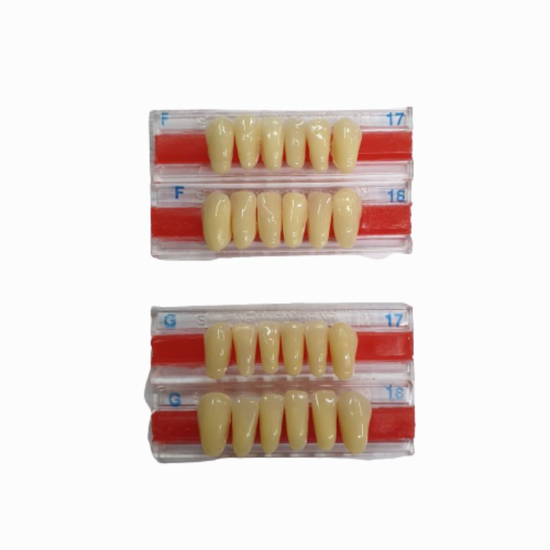 1 strip Gigi Palsu Akrilik ANTERIOR BAWAH ITALDENT | Acrylic Teeth