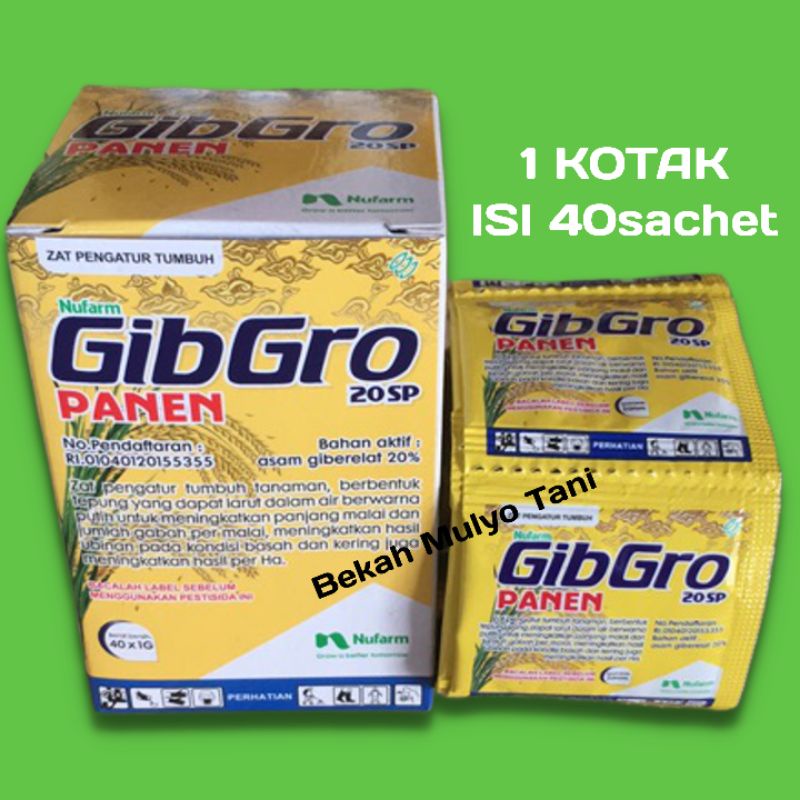 GIBGRO PANEN 20 PANEN  (1 KOTAK ISI 40 SACHET/BIJI )GA3 Zpt gibro Nutrisi