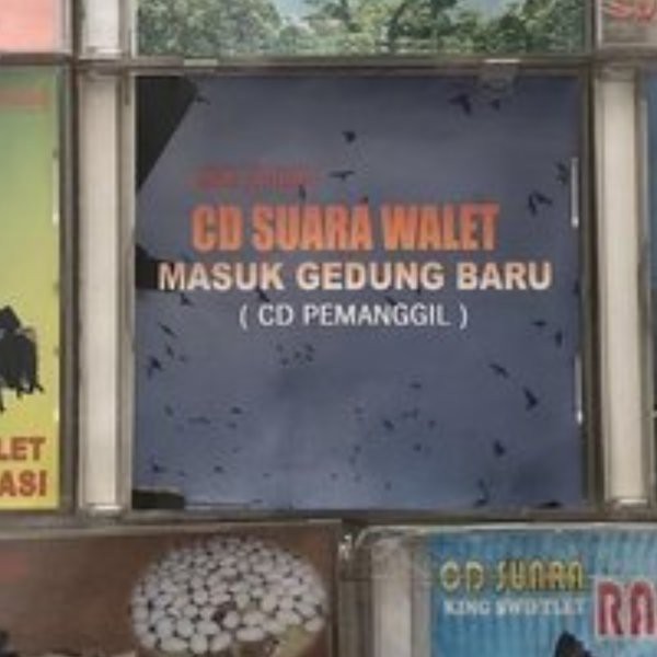CD suara walet panggil