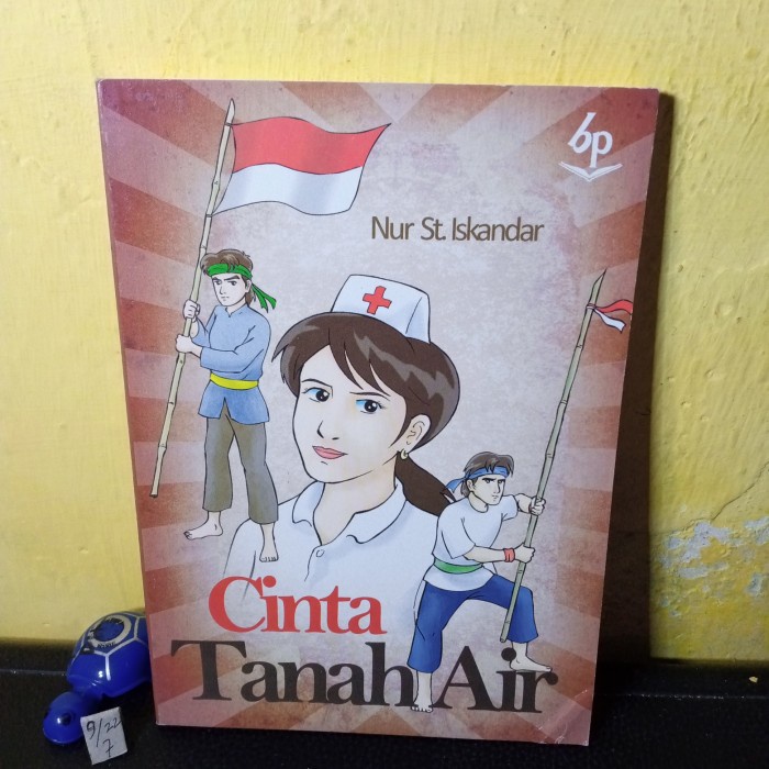 novel cinta tanah air balai pustaka 180 hal