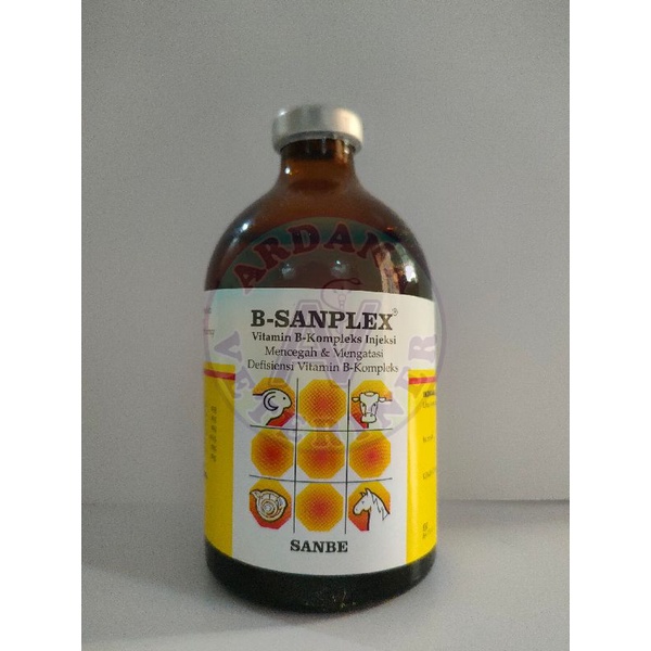 B-SANPLEX 100 ml