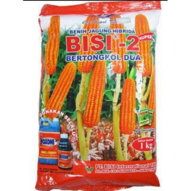 

Jagung Bisi 2 (kemasan 1KG)