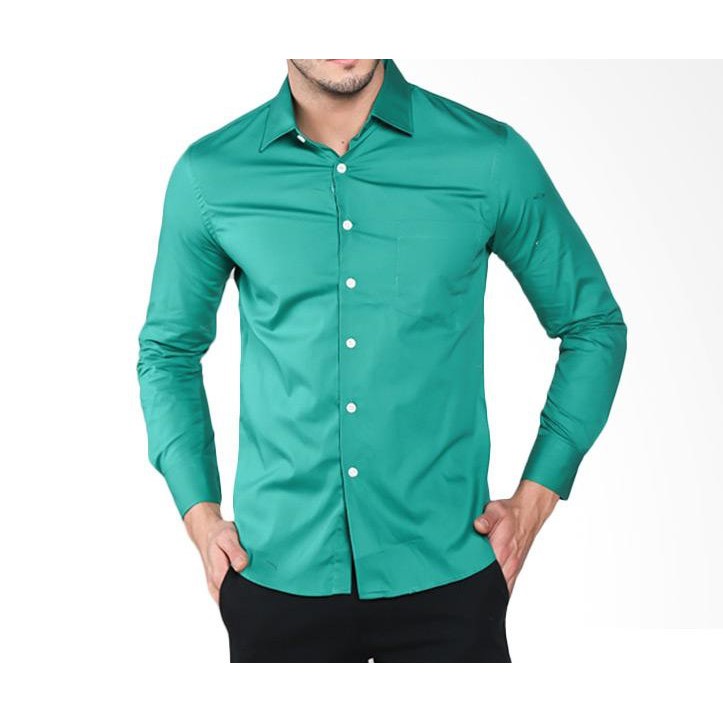 EDISI TERBARU BAJU PRIA kemeja pria Alisan warna hijau H9 lengan panjang reguler fit NEW