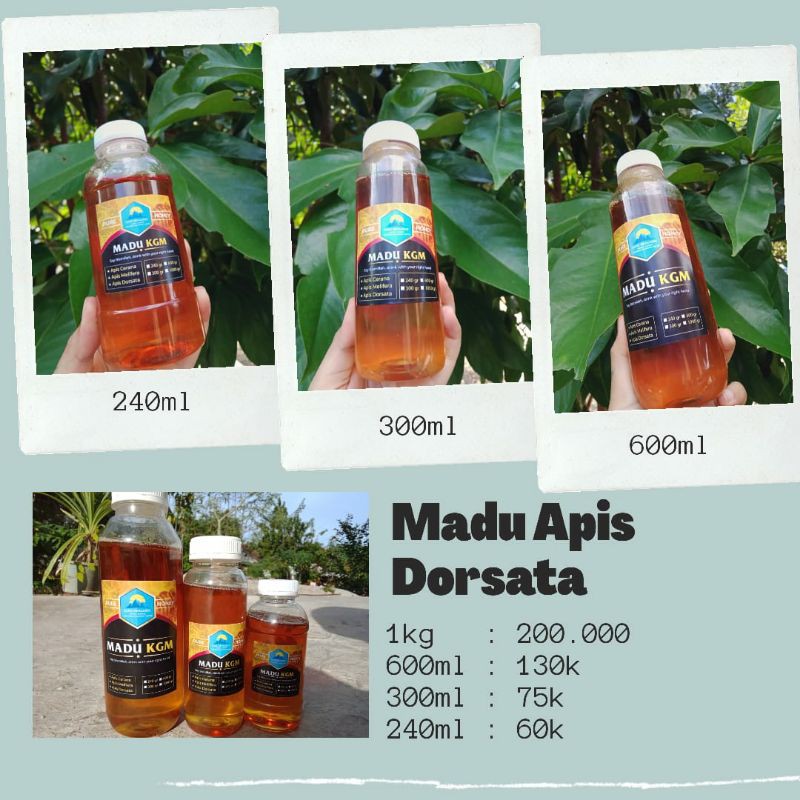 

Madu KGM Apis Dorsata