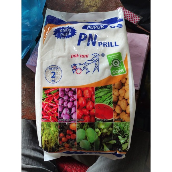 pupuk KNO3 PN prill pak tani 2kg