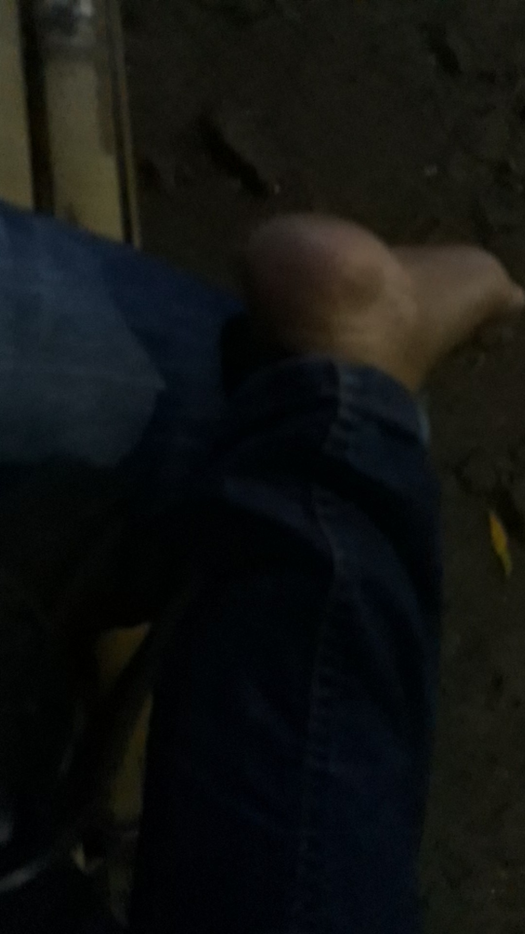 Sarung Batik Pekalongan Terbaru