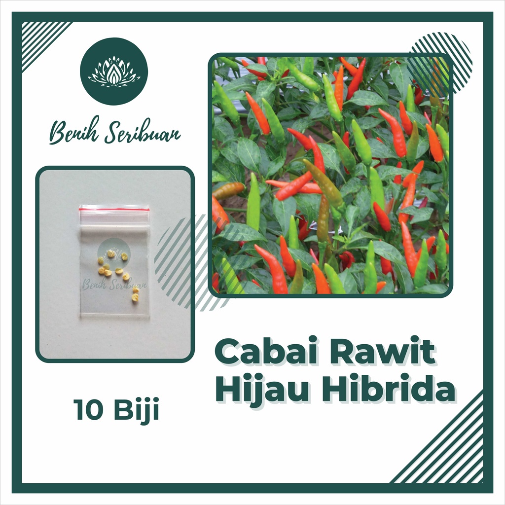 BS-BYL Bibit Sayuran Benih Sayur Buah Hibrida Unggul Buncis Cabe Rawit Bawang Jagung Kacang Lobak Pare Oyong Timun Terong Tomat Wortel dll-RAWIT HIJAU HIBRIDA