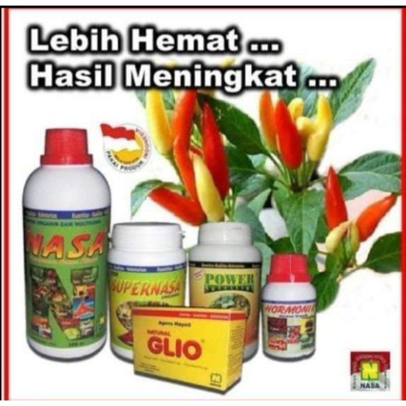 PUPUK PELEBAT BUAH CABE MENGURANGI KERONTOKAN BUNGA DAN BUAH