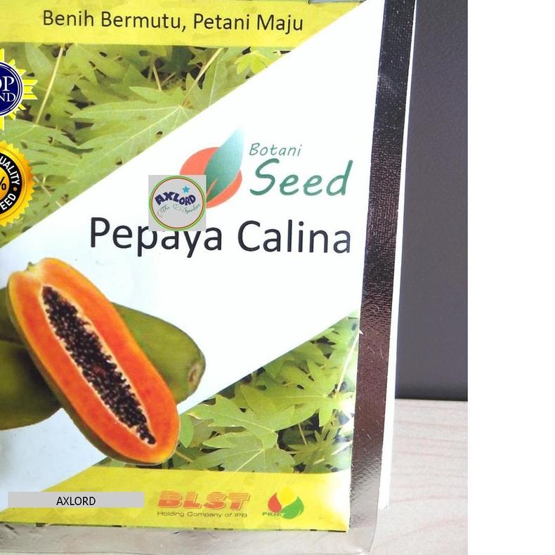 ♚ benih pepaya california asli IPB isi 150 terbaru ♛