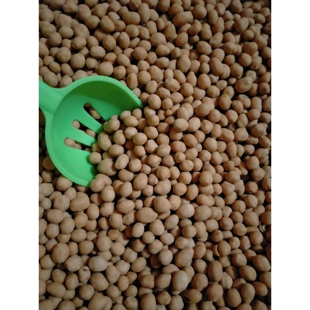 

Kacang Atom