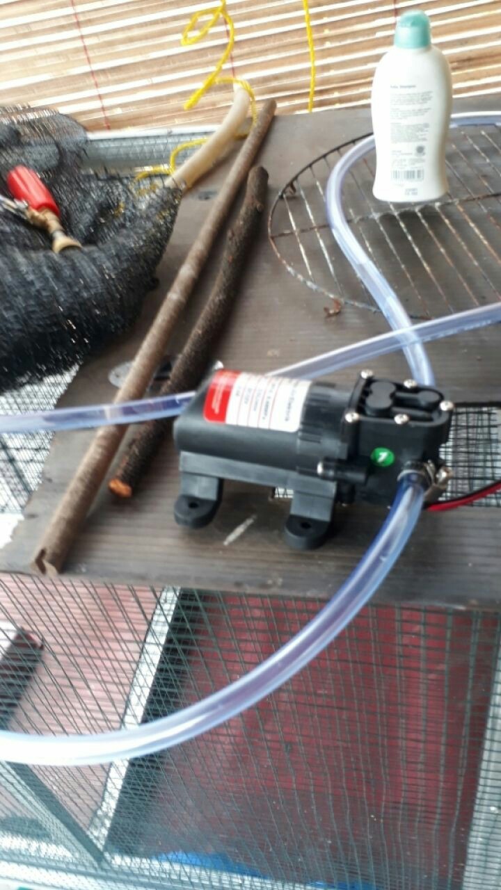 Pompa Dc 12v Murah Mesin Pompa Dc