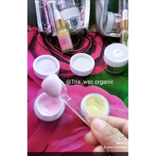 CREAM ECER WSC ORGANIC,SABUN,TONER,MINI/BIG