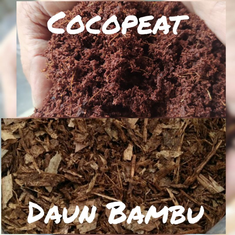Media Tanam Cocopeat + Daun Bambu Kering