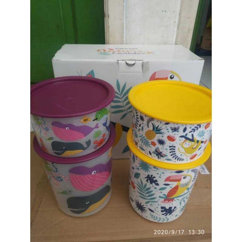 Nature Canister Tupperware