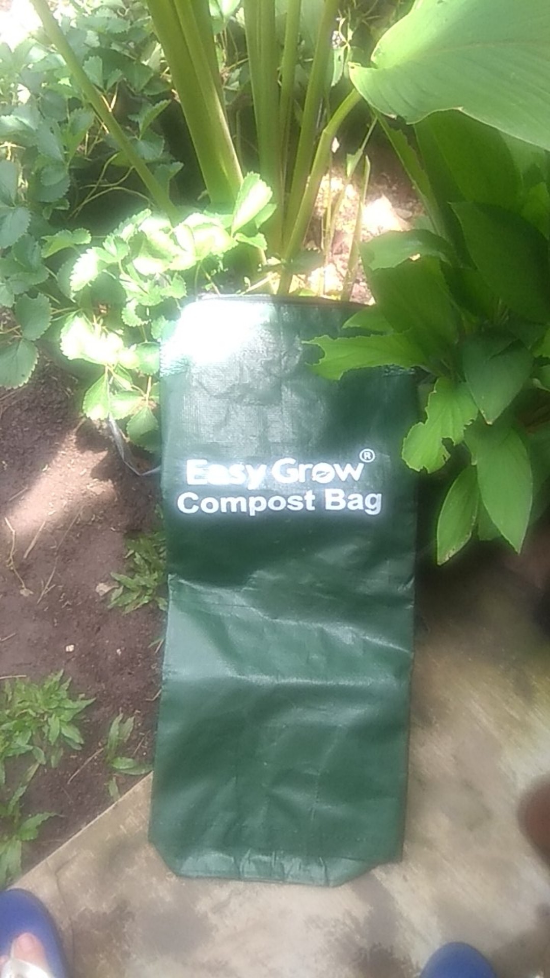Compost Bag