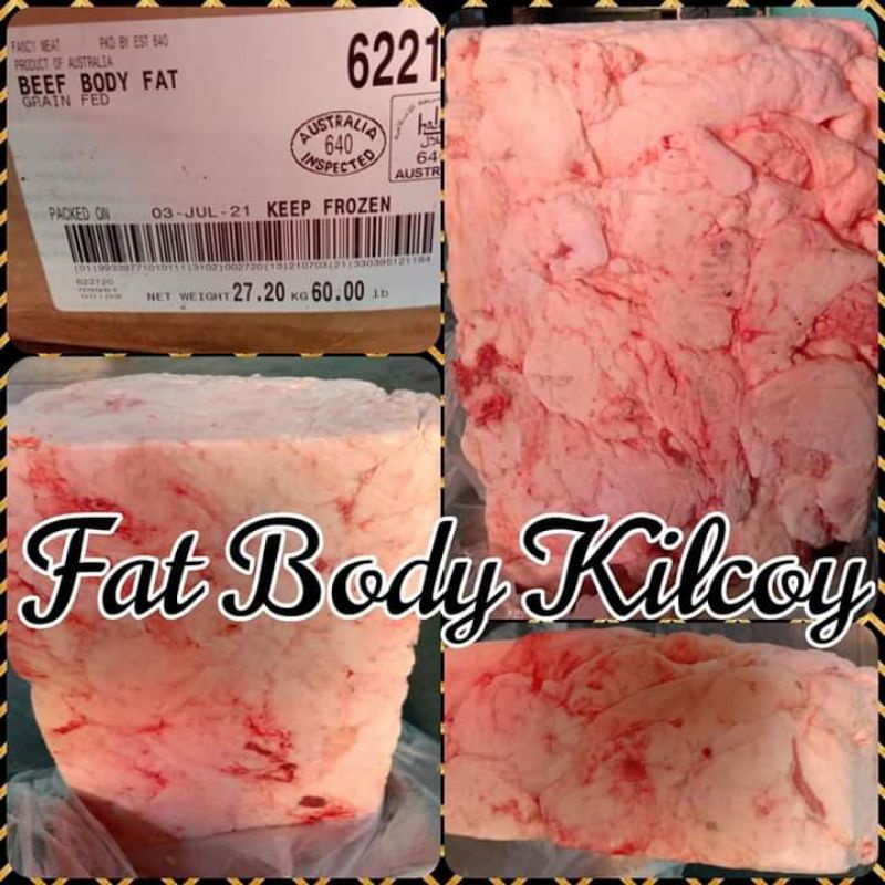 

fat body kilcoy 27.2 termurah