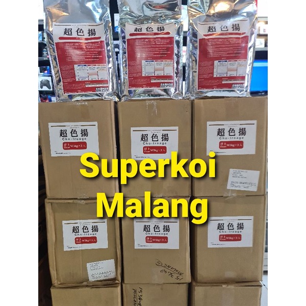 Odakan Colour Color Warna Super Bulky Pakan Makanan Koi Show Quality 0.5 Kg dan 1 Kg