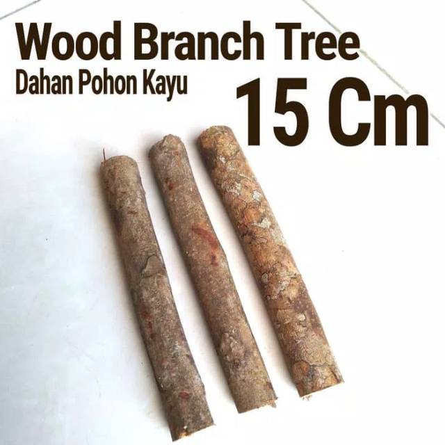 Wood Branch Tree 1-2x15 Cm Dahan kayu potongan kayu bahan craft decor