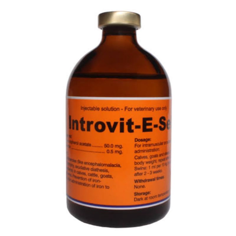 Jual INTROVIT E SELEN Vitamin E Selenium Injeksi Hewan sapi kambing