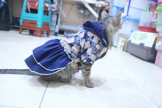 Dress buah model hoodie lucu untuk kucing dan anjing / baju kucing tangerang murah size S M L XL