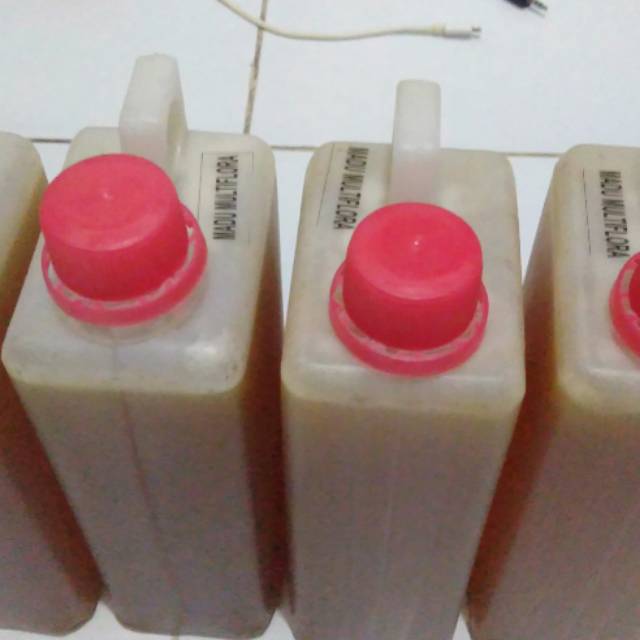 

Ratu lebah raditya