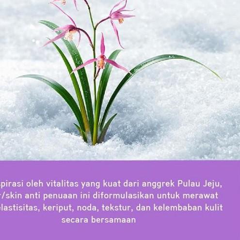 ✳ Innisfree Orchid Special Kit [Trial Kit 4 Items] ۩