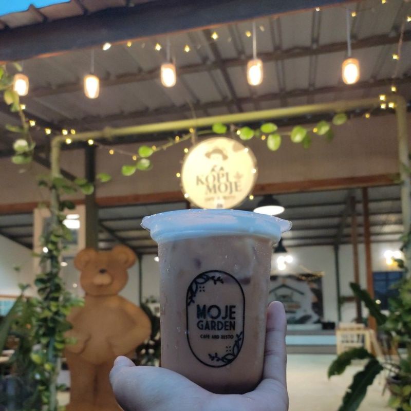 

Kopi moje