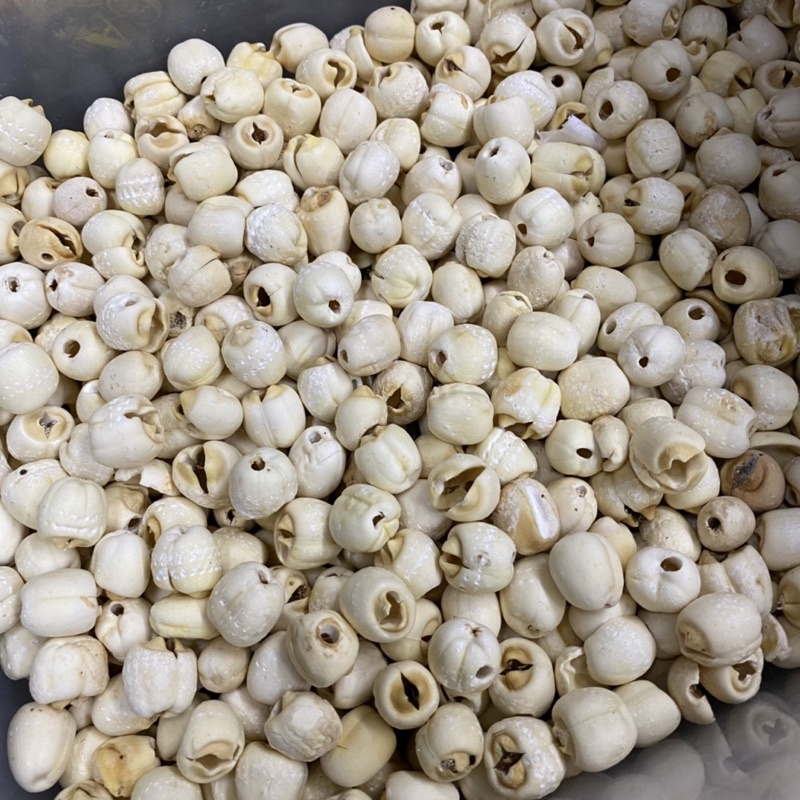 

Biji teratai/ Teratai/ Lian ze/ Lian ci / Buah teratai 100gr