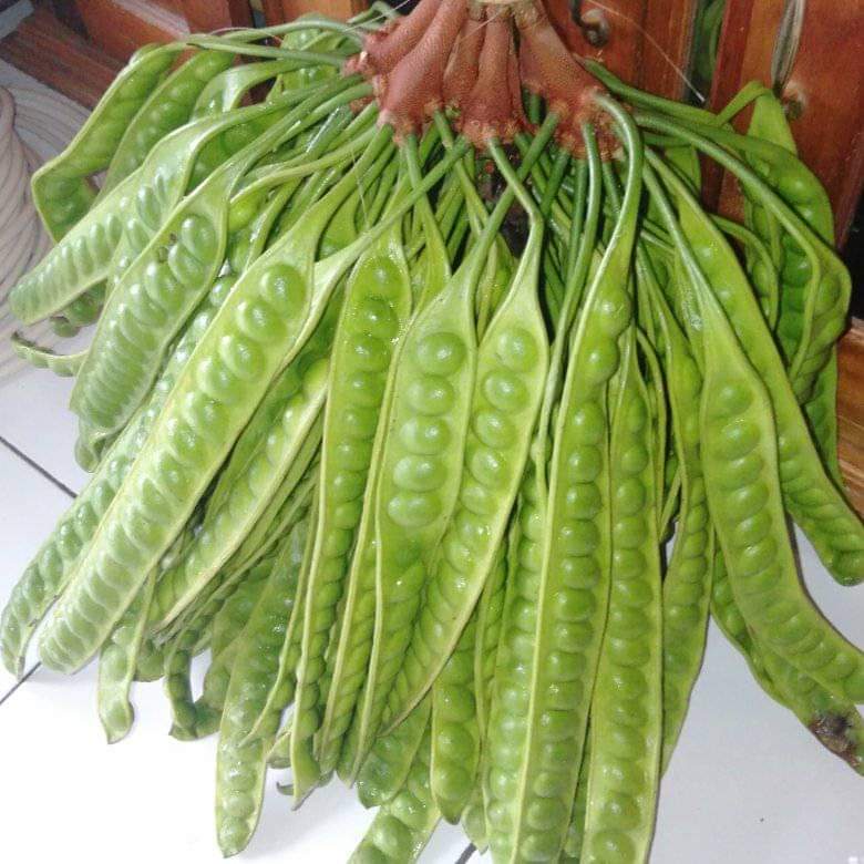 

pete kwalitas super fress lima ikat lima papan