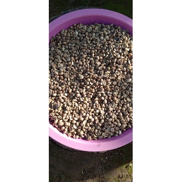 

kopi siap goreng
