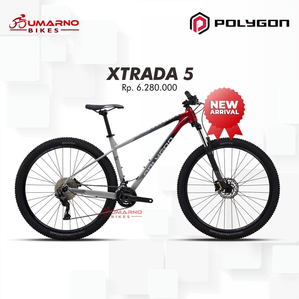 Sepeda Polygon Xtrada 5