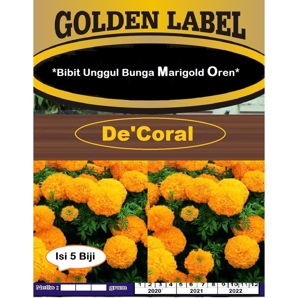 Bibit Bunga Marigold Oren | Benih Bunga Marigold Orange