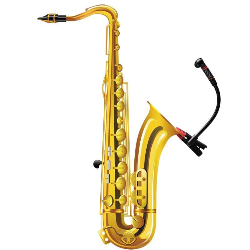 condenser microphone saxophone