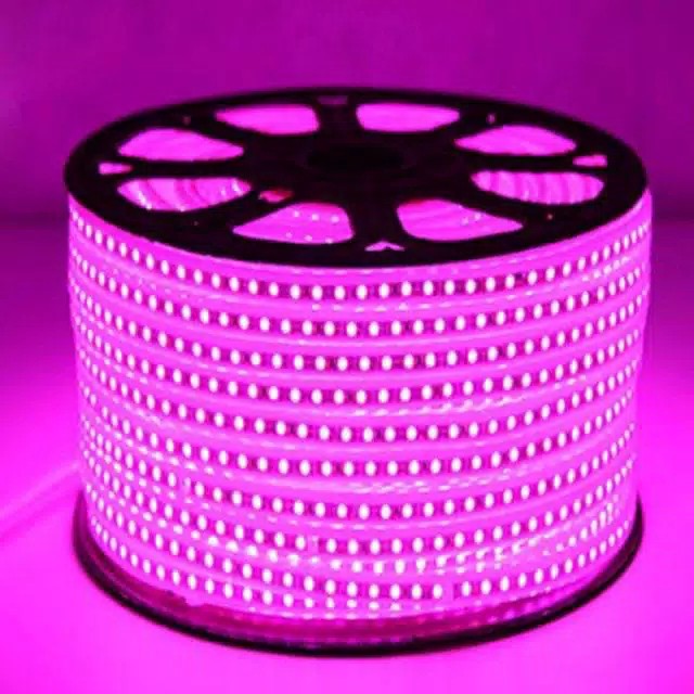 Lampu Led Selang SMD 5050 220V Lampu Plafon Led Strip Anti Air Tahan Air Tumblr Per Meter