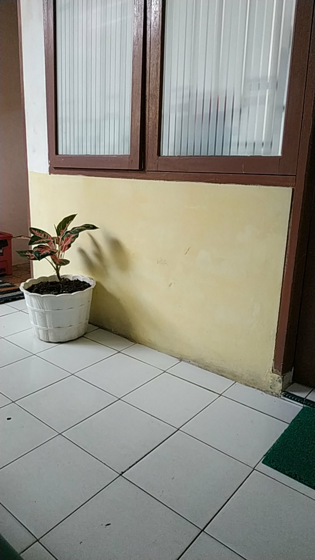 Clever Cutter 2 In 1