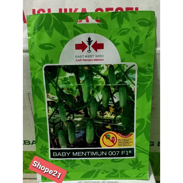 Benih Timun Baby 007 f1 isi 175 biji