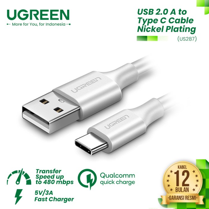 UGREEN Kabel USB-C to USB-A (Fast Charging) - US287